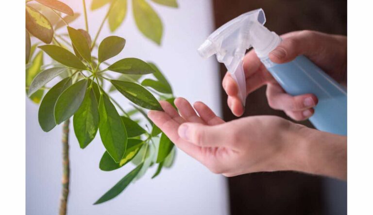 Personne qui arrose une plante