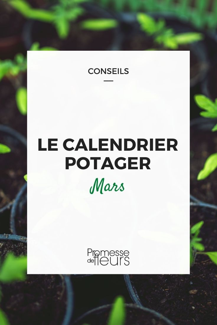 "Le calendrier potager Mars" conseil, image de plante en fond