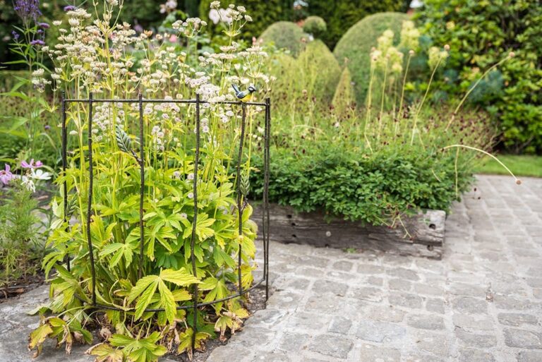 jardin de plantes sur le bord d'une terrasse