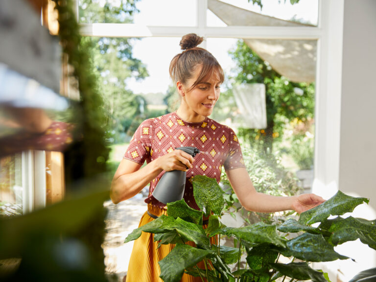 Dame qui prend soin des plante en les arrosant