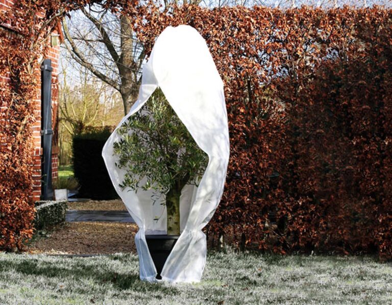 Arbuste recouvert d'une toile blanche pour l'hiver, neige sur le sol et feuille sur la clôture