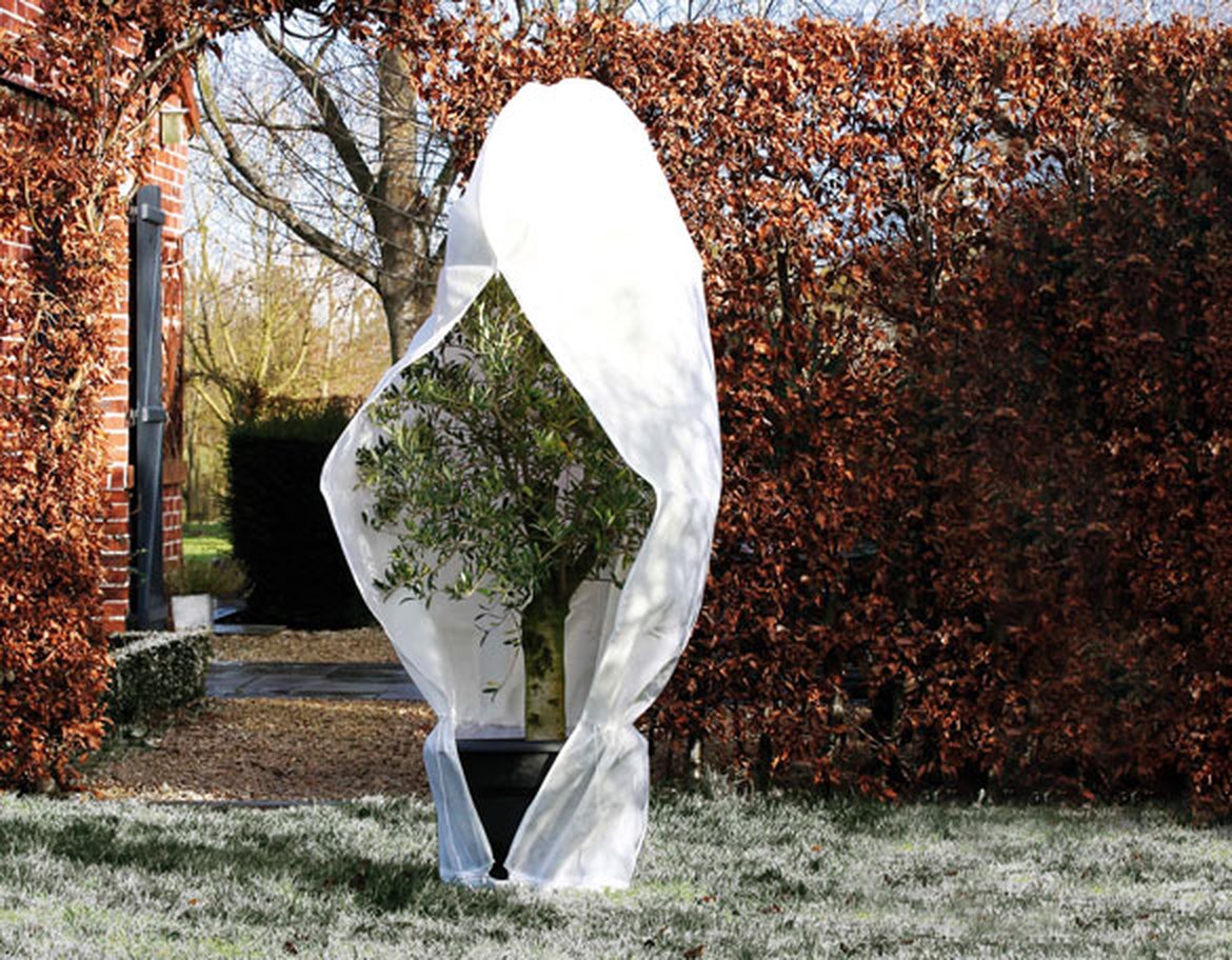 Arbuste recouvert d'une toile blanche pour l'hiver, neige sur le sol et feuille sur la clôture
