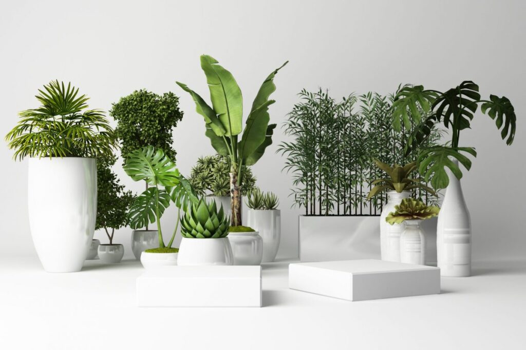 Plusieurs plante différents dans des pots différents