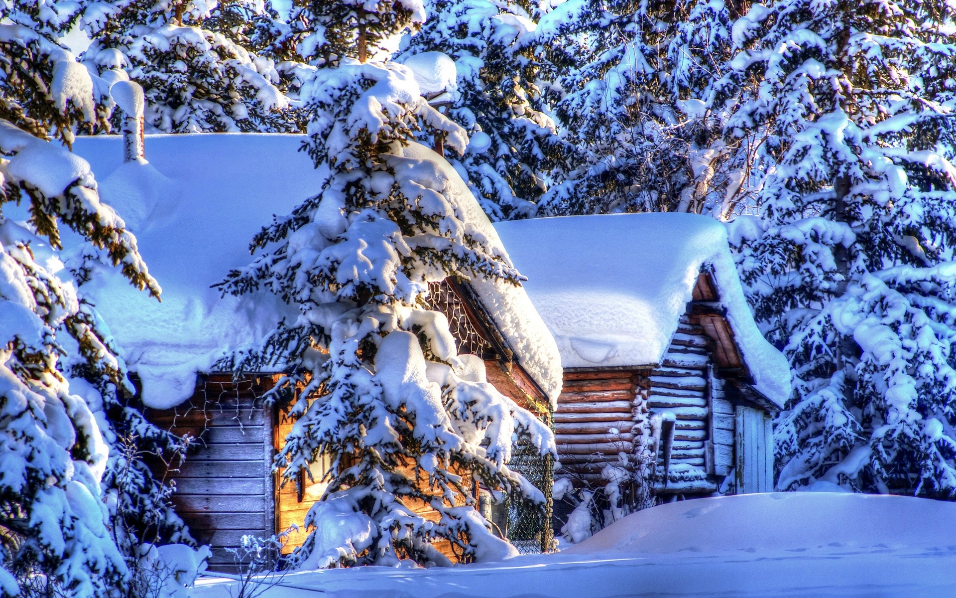 Supportant le poids de la neige blanche, les sapins entourent la magnifique maison de bois. Dans la neige, les empreintes nous rappelle les activités extérieur qu'il est possible de faire à l'hiver.